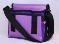 p-Einhorn4-Diamat-in